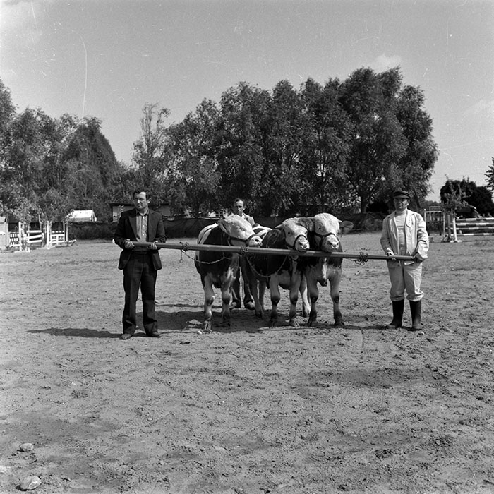 minerva_1986-1987_agrar_c4r2_024