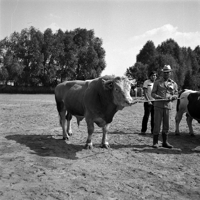 minerva_1986-1987_agrar_c4r2_025