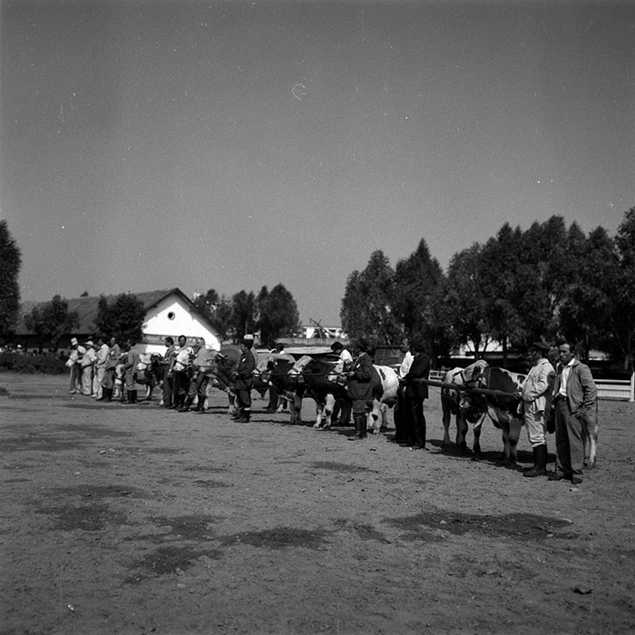 minerva_1986-1987_agrar_c4r2_026