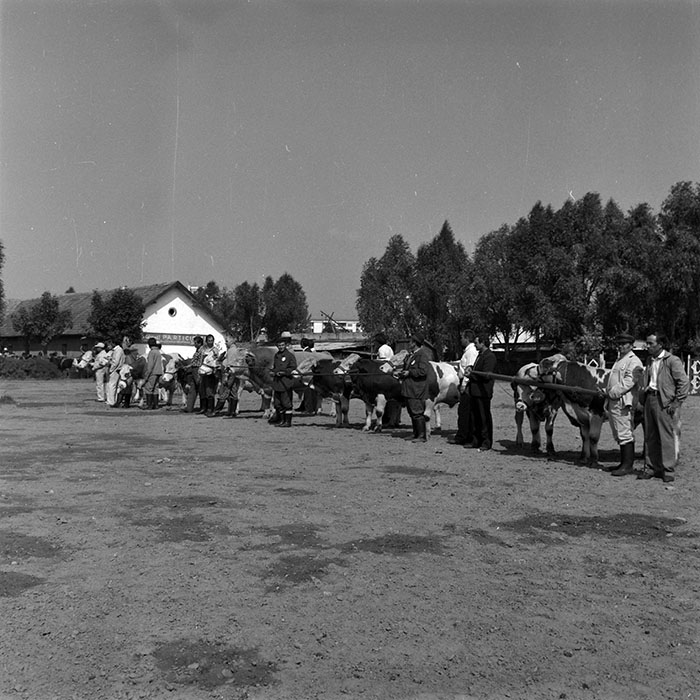 minerva_1986-1987_agrar_c4r2_027