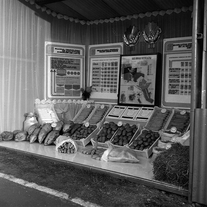 minerva_1986-1987_agrar_c4r2_033