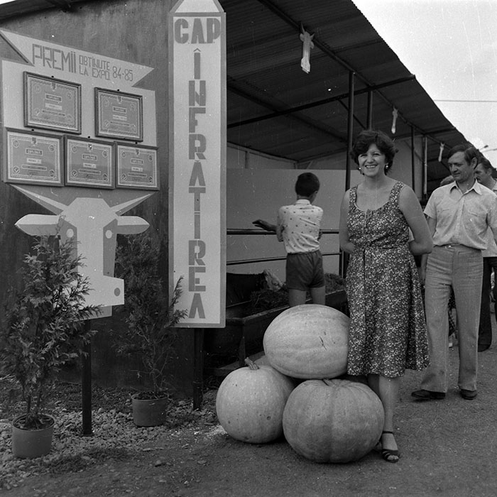 minerva_1986-1987_agrar_c4r2_034