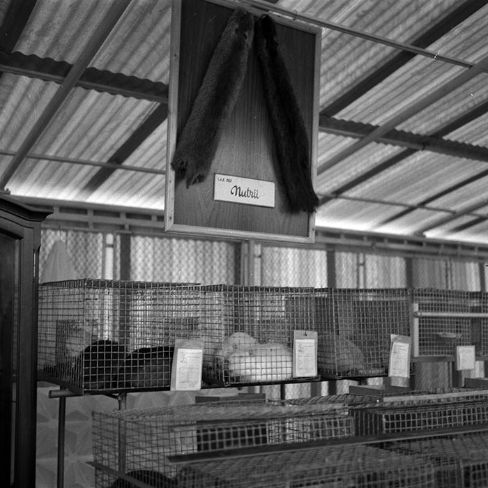 minerva_1986-1987_agrar_c4r2_037