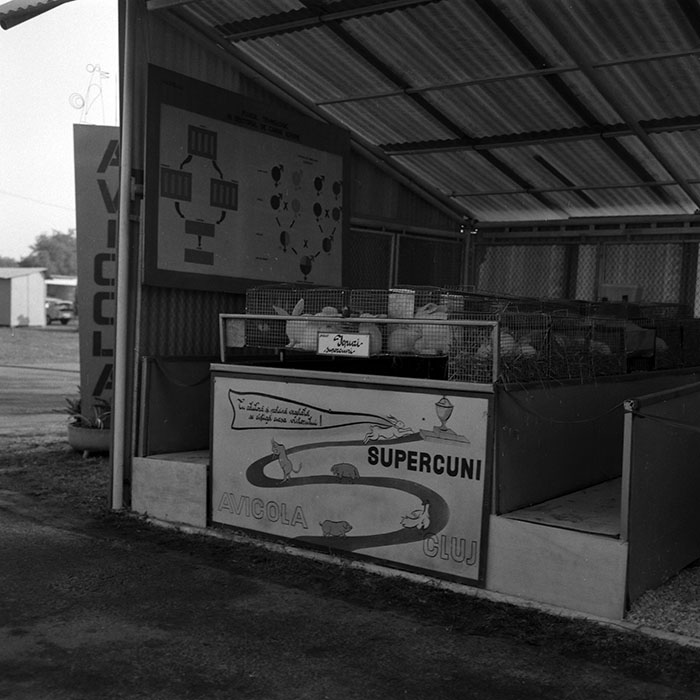 minerva_1986-1987_agrar_c4r2_042