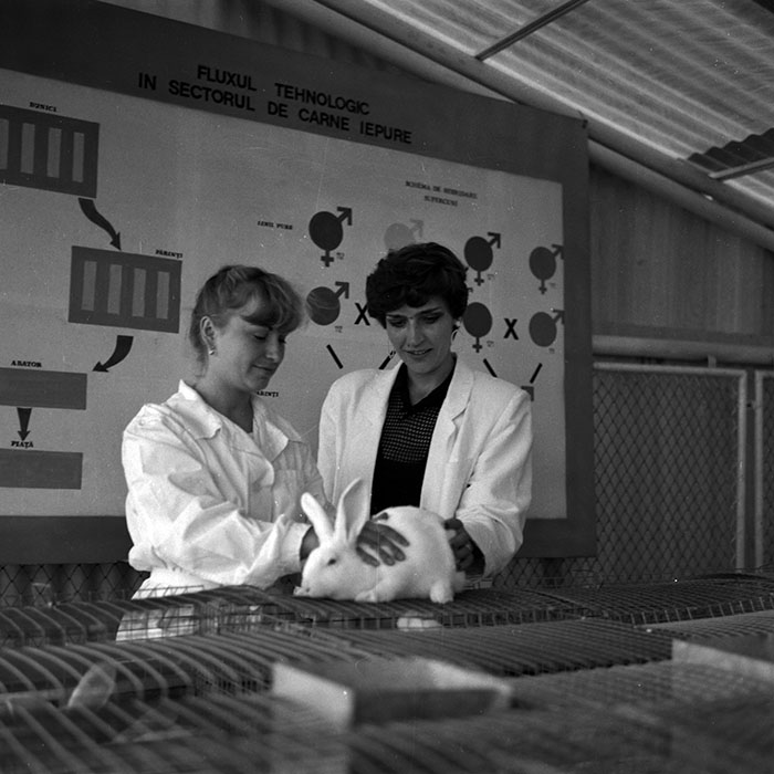 minerva_1986-1987_agrar_c4r2_043