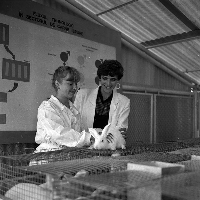 minerva_1986-1987_agrar_c4r2_044