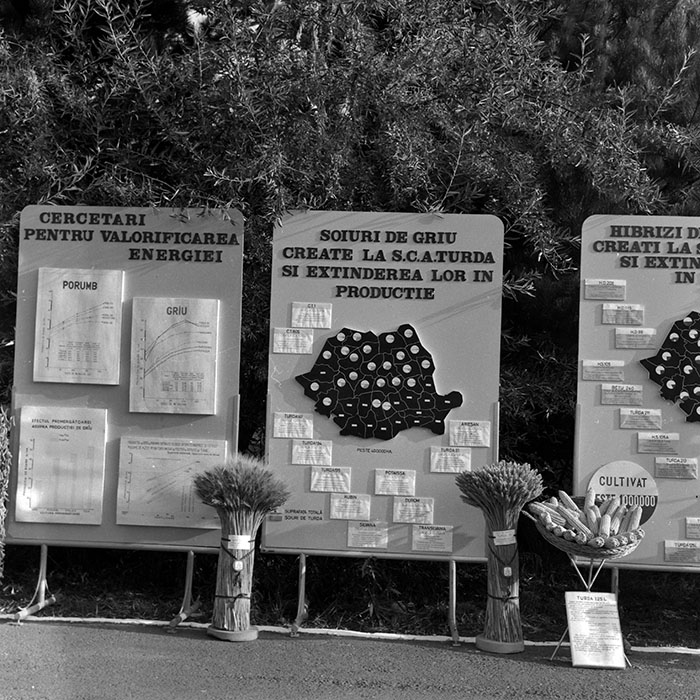 minerva_1986-1987_agrar_c4r2_045