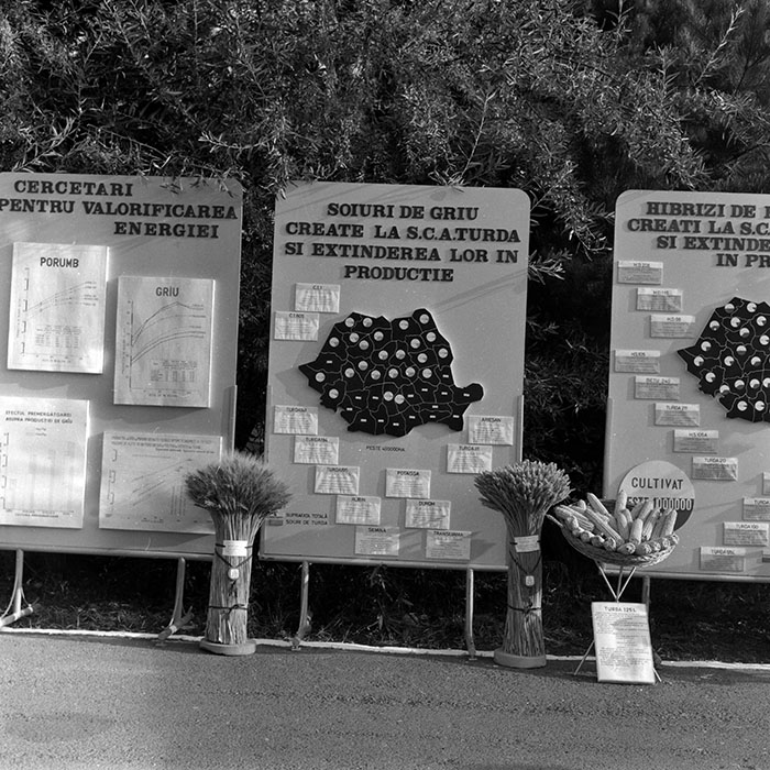 minerva_1986-1987_agrar_c4r2_046