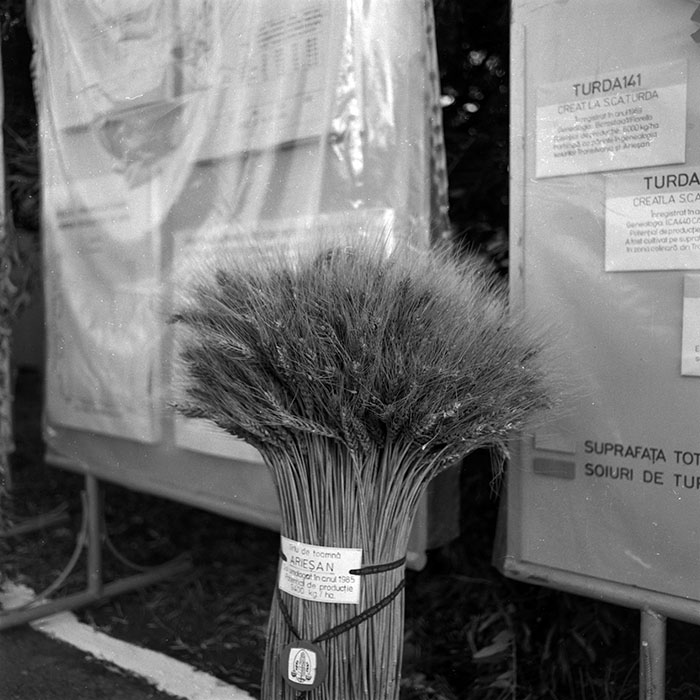 minerva_1986-1987_agrar_c4r3_001