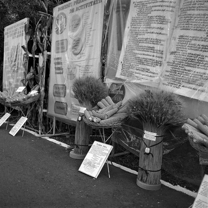 minerva_1986-1987_agrar_c4r3_002