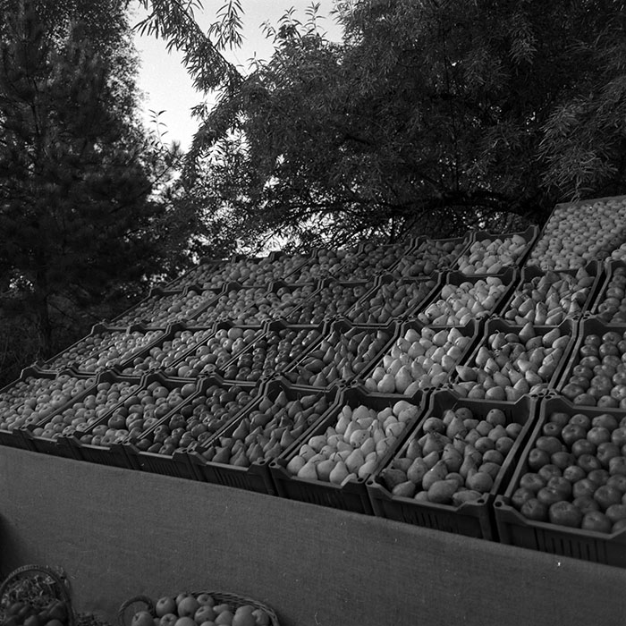 minerva_1986-1987_agrar_c4r3_005