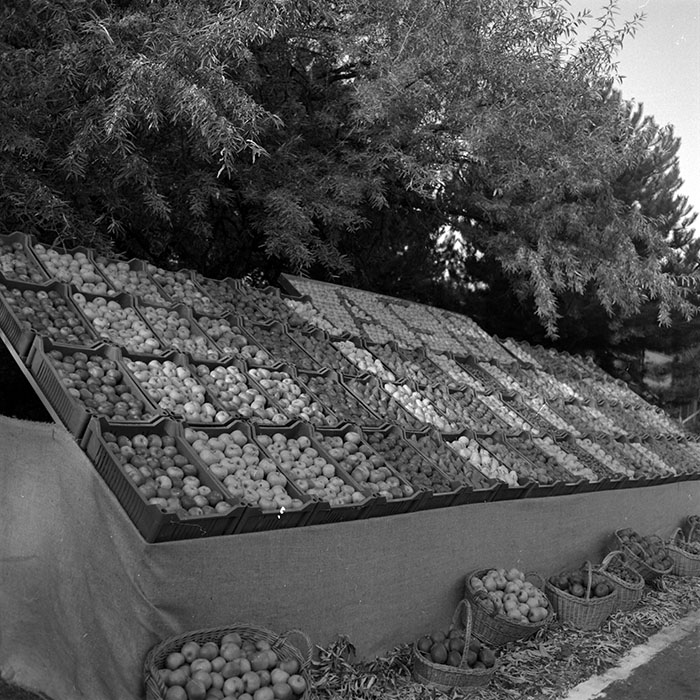 minerva_1986-1987_agrar_c4r3_006