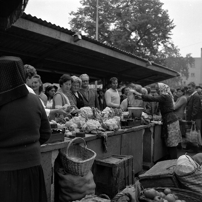 minerva_1986-1987_agrar_c4r3_008