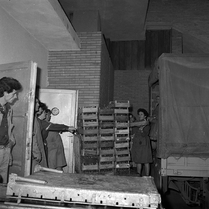 minerva_1986-1987_agrar_c4r3_012