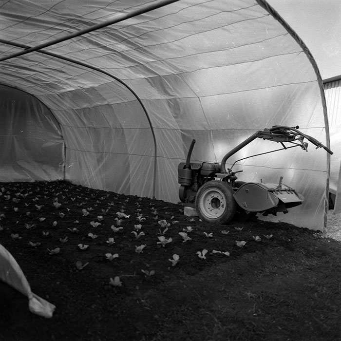 minerva_1986-1987_agrar_c4r3_013