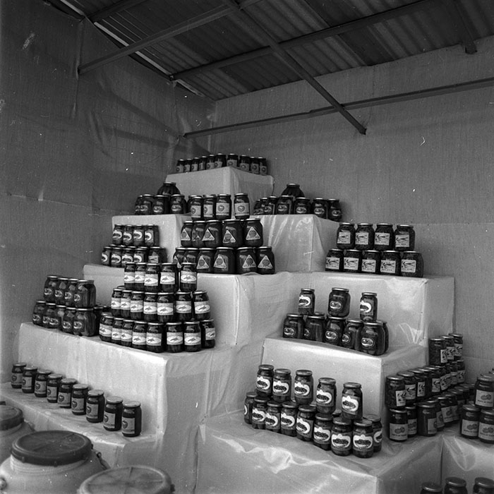 minerva_1986-1987_agrar_c4r3_014