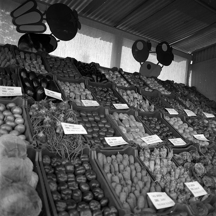 minerva_1986-1987_agrar_c4r3_016