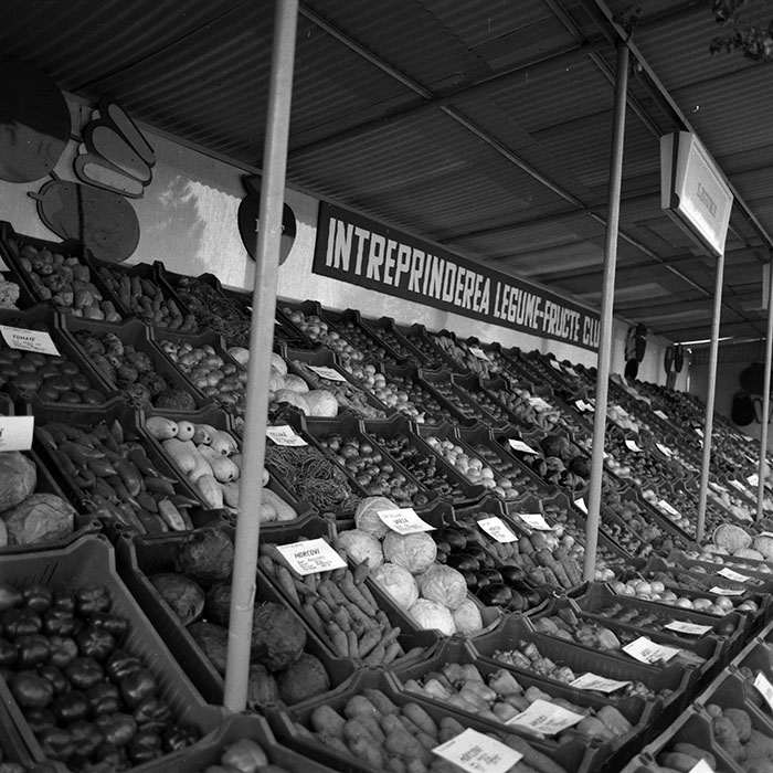 minerva_1986-1987_agrar_c4r3_017