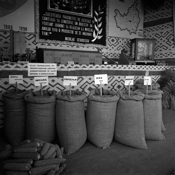 minerva_1986-1987_agrar_c4r3_019