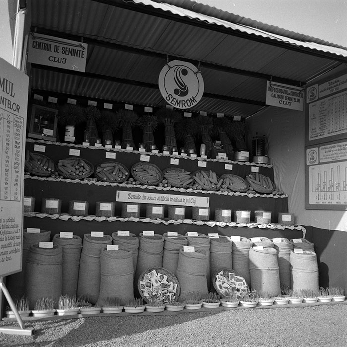 minerva_1986-1987_agrar_c4r3_021