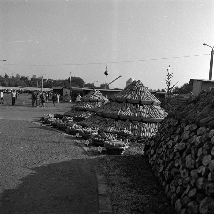 minerva_1986-1987_agrar_c4r3_023