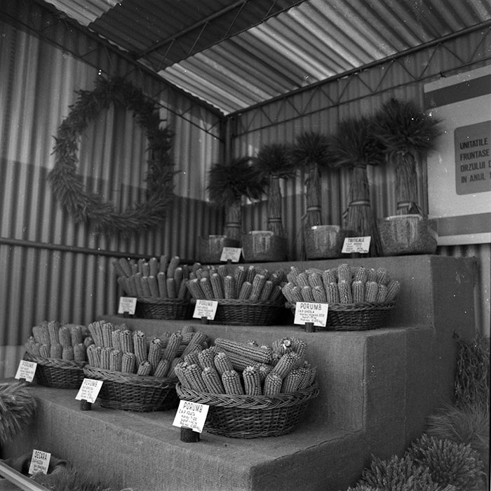 minerva_1986-1987_agrar_c4r3_024