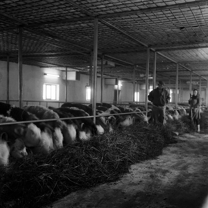 minerva_1986-1987_agrar_c4r4_001