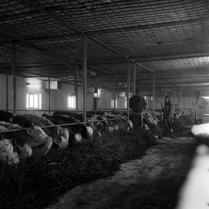 minerva_1986-1987_agrar_c4r4_002