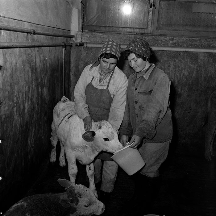 minerva_1986-1987_agrar_c4r4_013