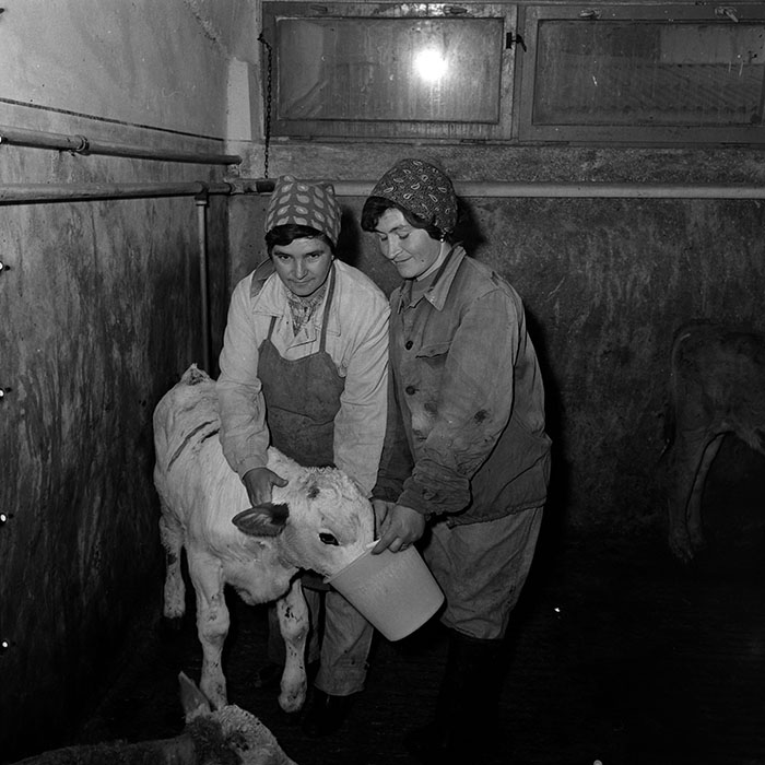 minerva_1986-1987_agrar_c4r4_014