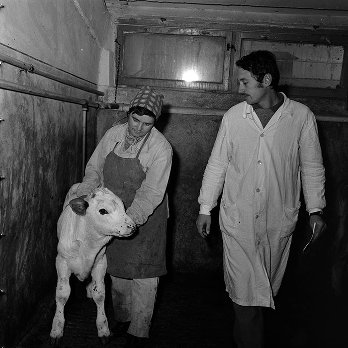 minerva_1986-1987_agrar_c4r4_015