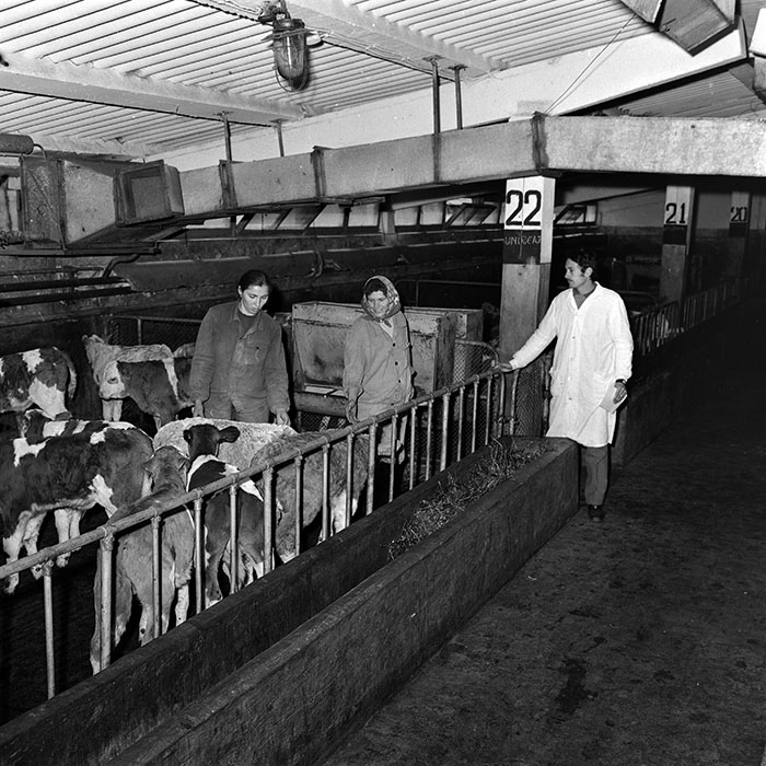 minerva_1986-1987_agrar_c4r4_020