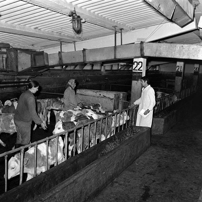 minerva_1986-1987_agrar_c4r4_021