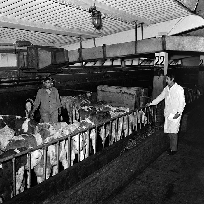 minerva_1986-1987_agrar_c4r4_022