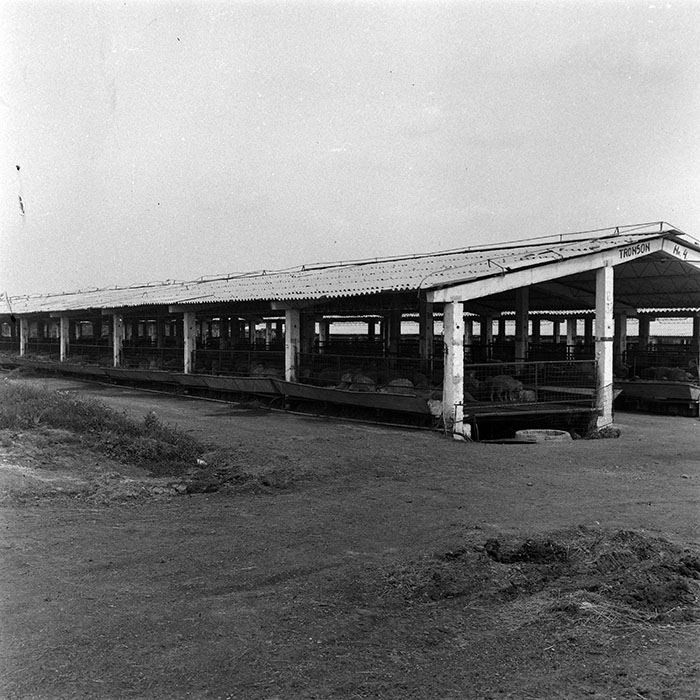 minerva_1986-1987_agrar_c4r4_025