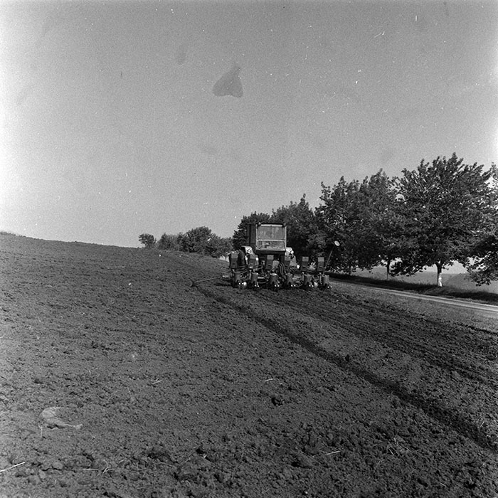 minerva_1986-1987_agrar_c4r4_034