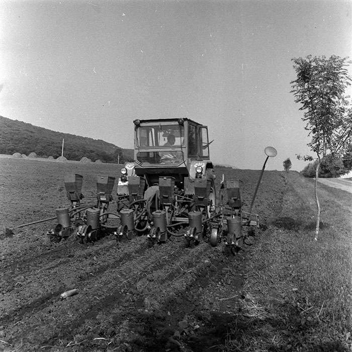 minerva_1986-1987_agrar_c4r4_036