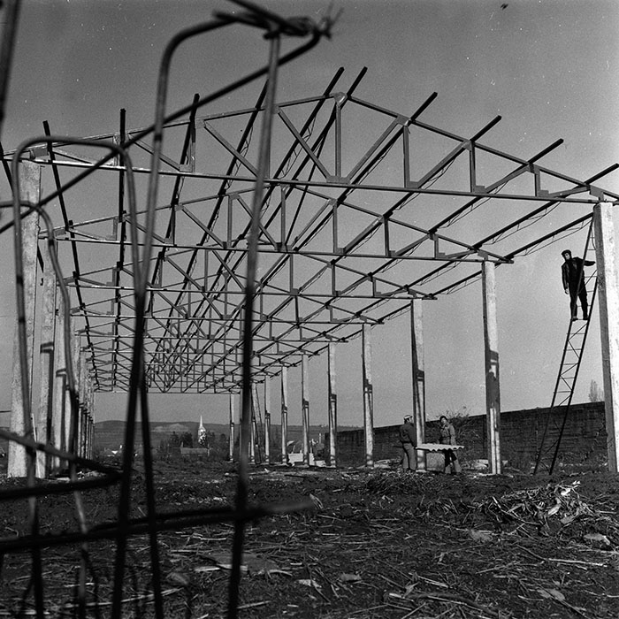 minerva_1986-1987_agrar_c4r4_037