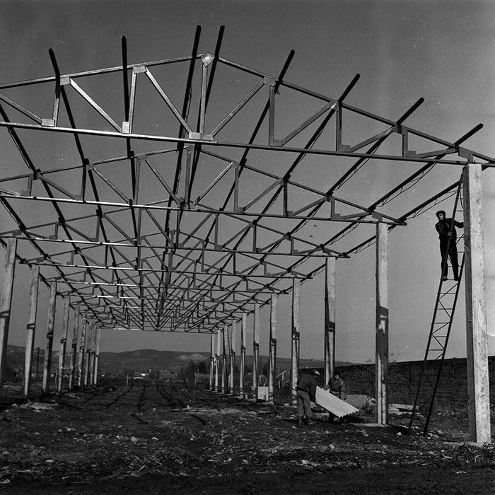 minerva_1986-1987_agrar_c4r4_038