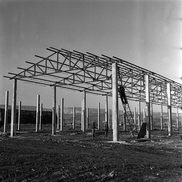 minerva_1986-1987_agrar_c4r4_040