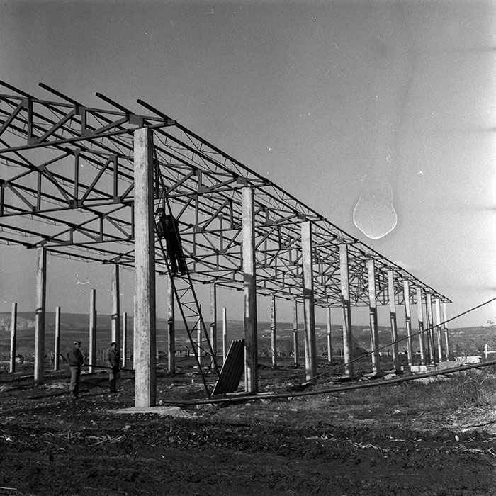 minerva_1986-1987_agrar_c4r4_041