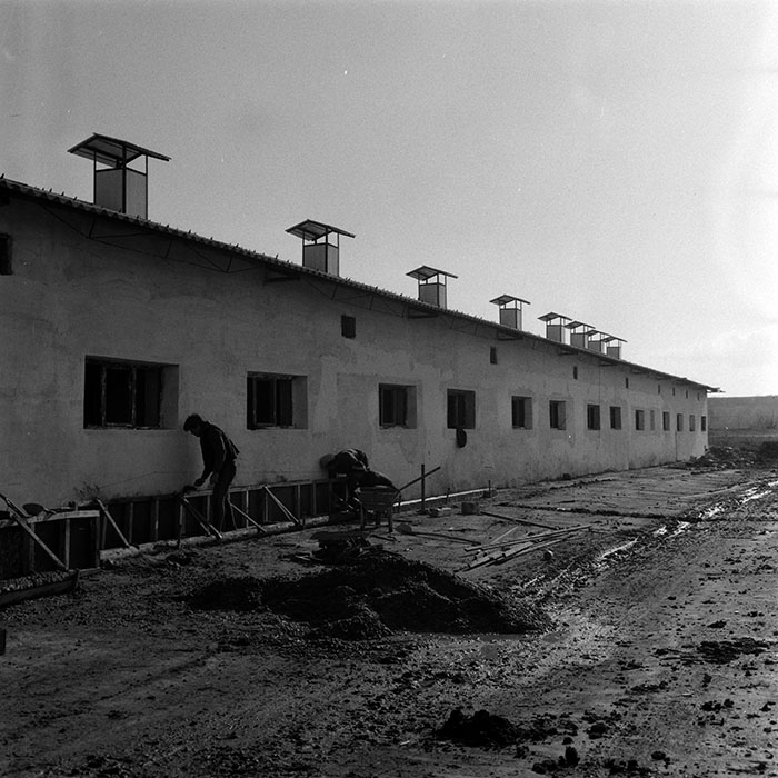 minerva_1986-1987_agrar_c4r4_043