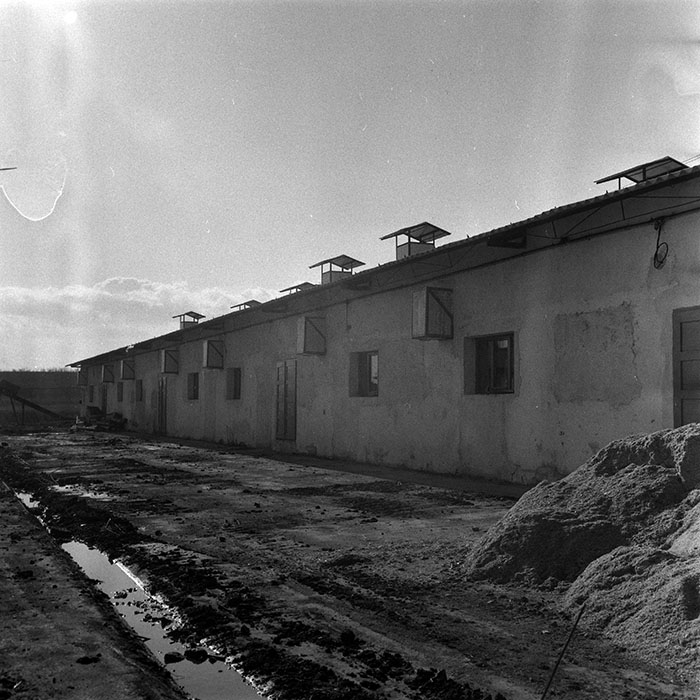 minerva_1986-1987_agrar_c4r4_045