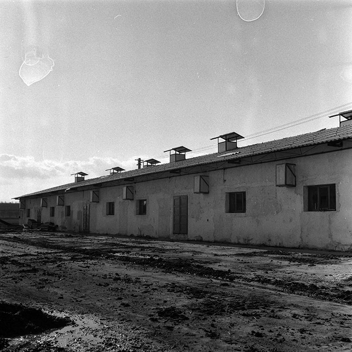 minerva_1986-1987_agrar_c4r4_046