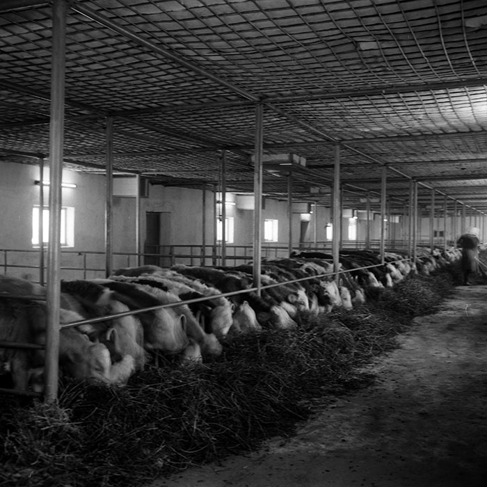 minerva_1986-1987_agrar_c4r4_047