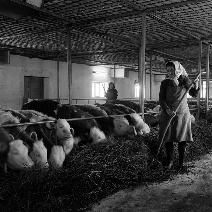 minerva_1986-1987_agrar_c4r4_048