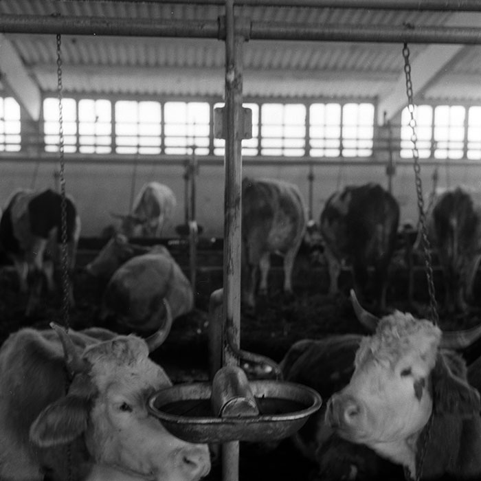 minerva_1986-1987_agrar_c4r4_049