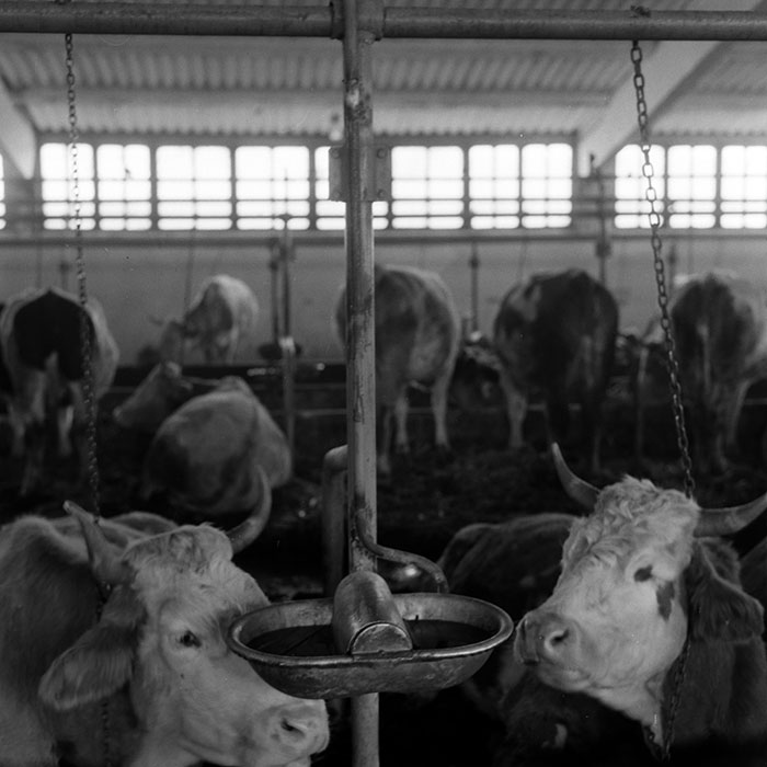 minerva_1986-1987_agrar_c4r4_050