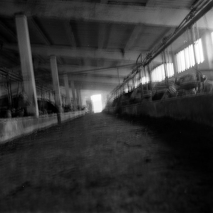 minerva_1986-1987_agrar_c4r4_056