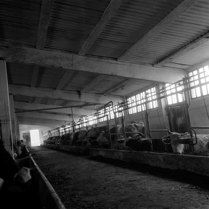 minerva_1986-1987_agrar_c4r4_057